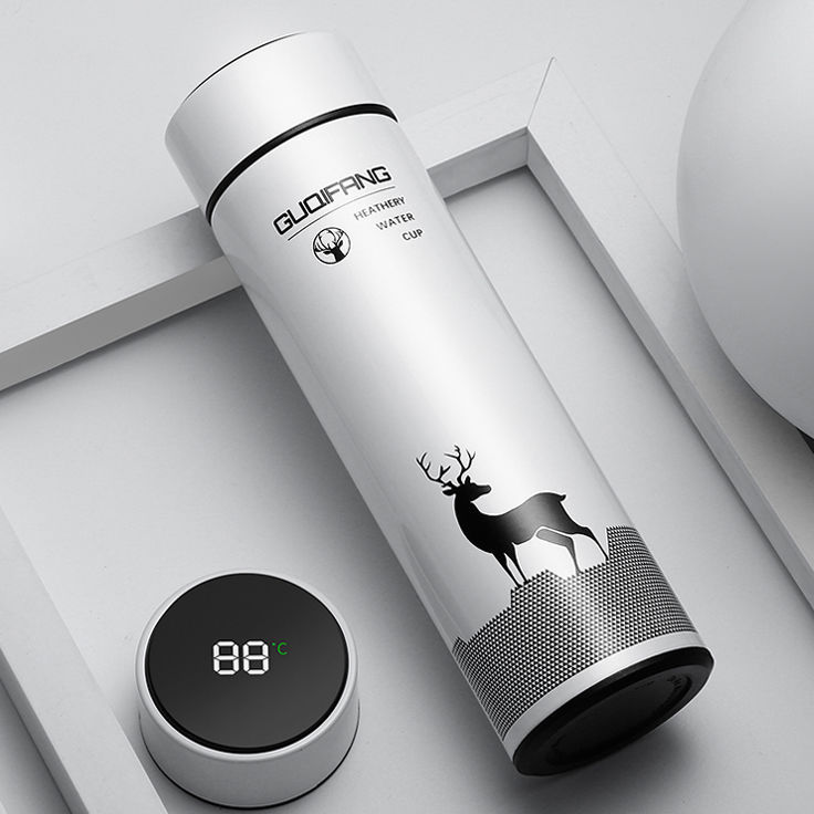 Intelligent Temperature Display Insulation Cup – Leak-Proof 304 Stainless Steel Large Capacity Thermos